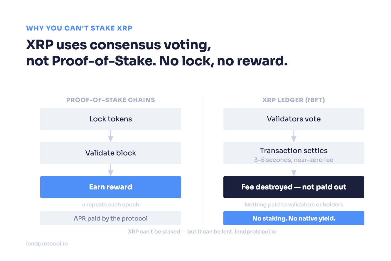 Stake XRP: The Complete 2026 Guide
